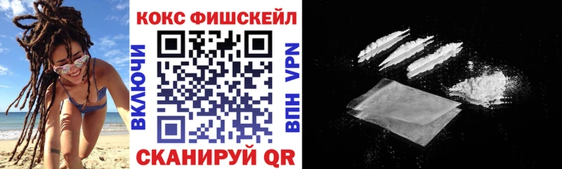 Кокаин Fish Scale  mega   Кремёнки  купить наркотики цена 