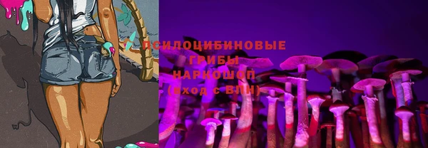 mix Алексин